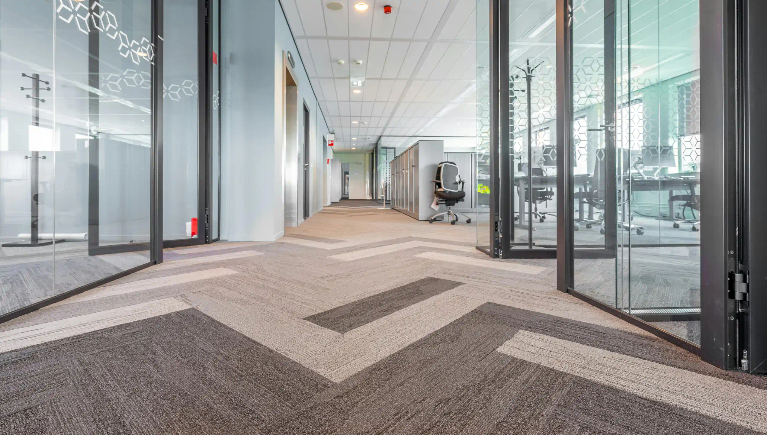 carpet and office cleaning in plano tx